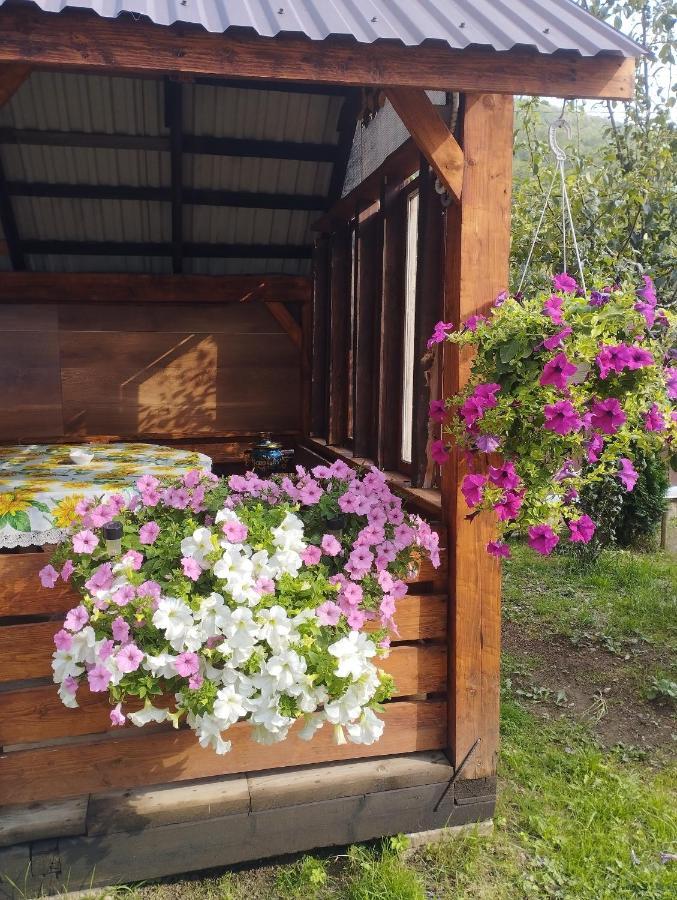 Карпати Котедж Анастасія سكول المظهر الخارجي الصورة